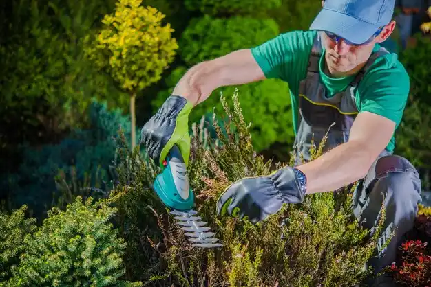 landscaping services Watervliet